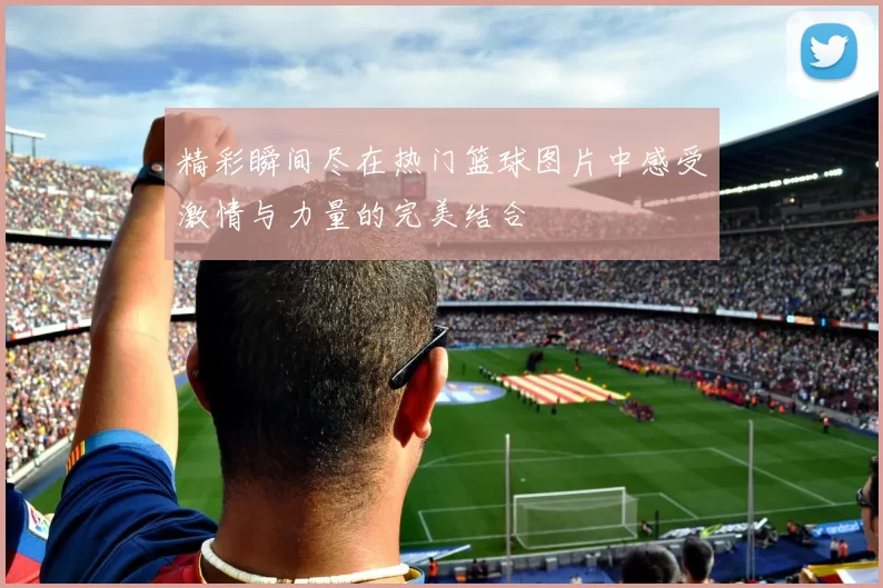 精彩瞬间尽在热门篮球图片中感受激情与力量的完美结合